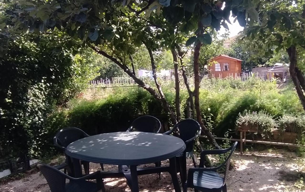 Apartman Greta Sukošan Buitenkant foto
